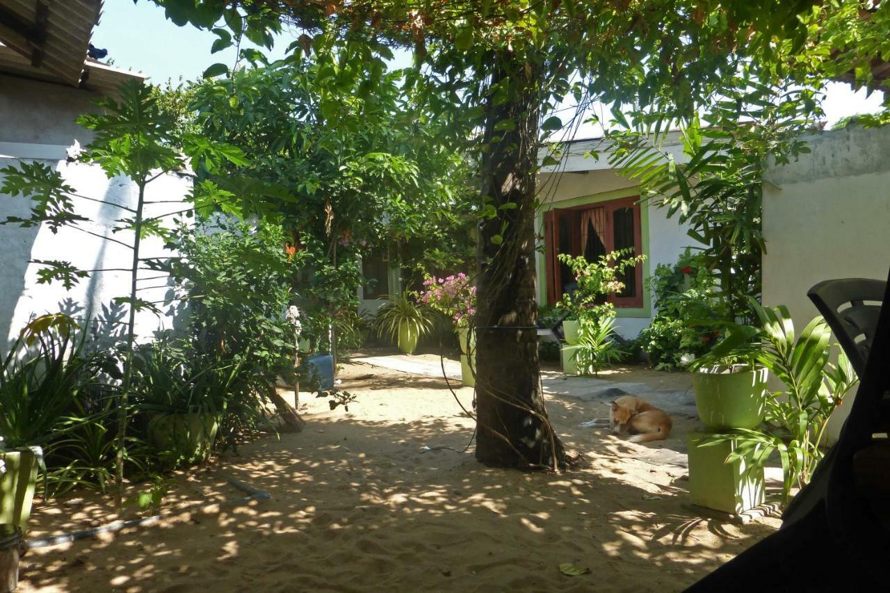 Grace Homestay Negombo Exterior photo