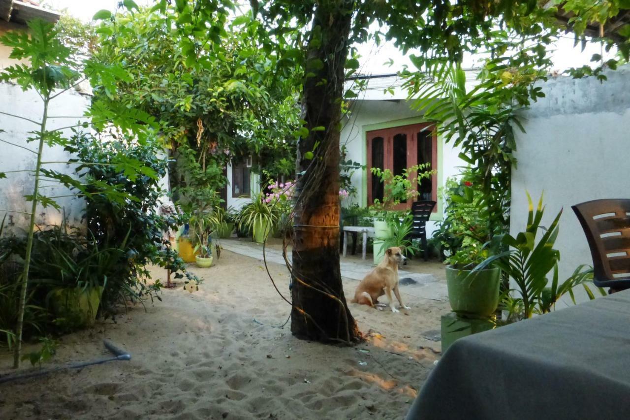 Grace Homestay Negombo Exterior photo